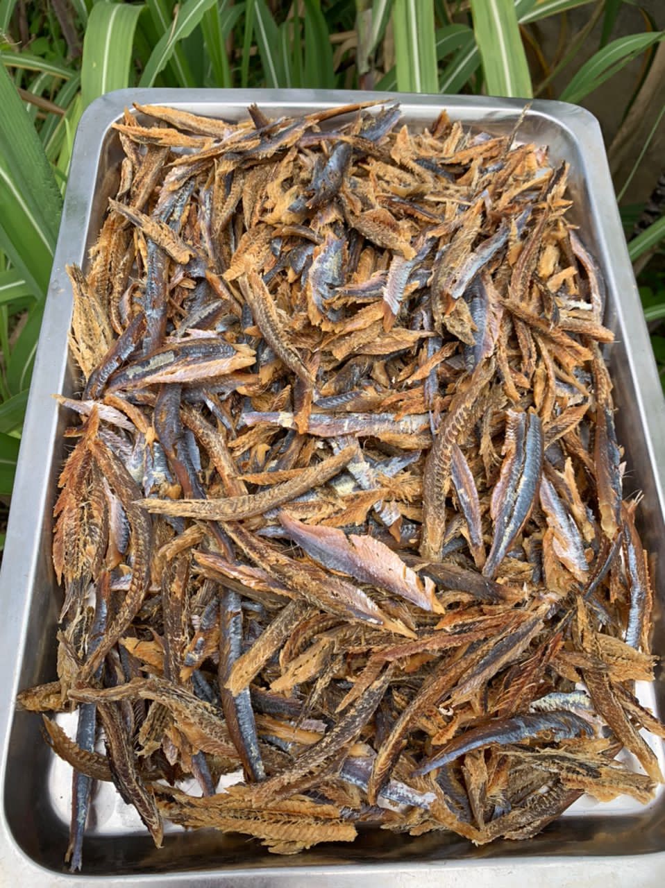 Debone Bonga Fish 1kg