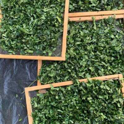 Ugu leaf (dehydrated ) 100g