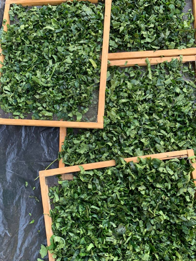 Ugu leaf (dehydrated ) 100g